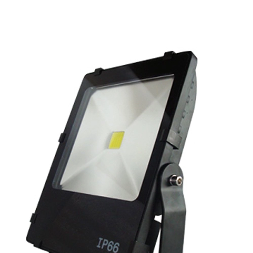 LED-Spot Floodlight Franssen 8717064119686