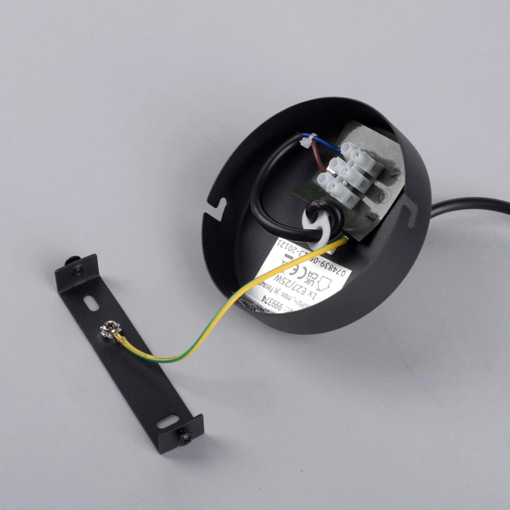 Schwarze Hängelampe Zea einzel Just Light 4043689993740